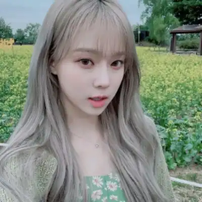 崔芙奕